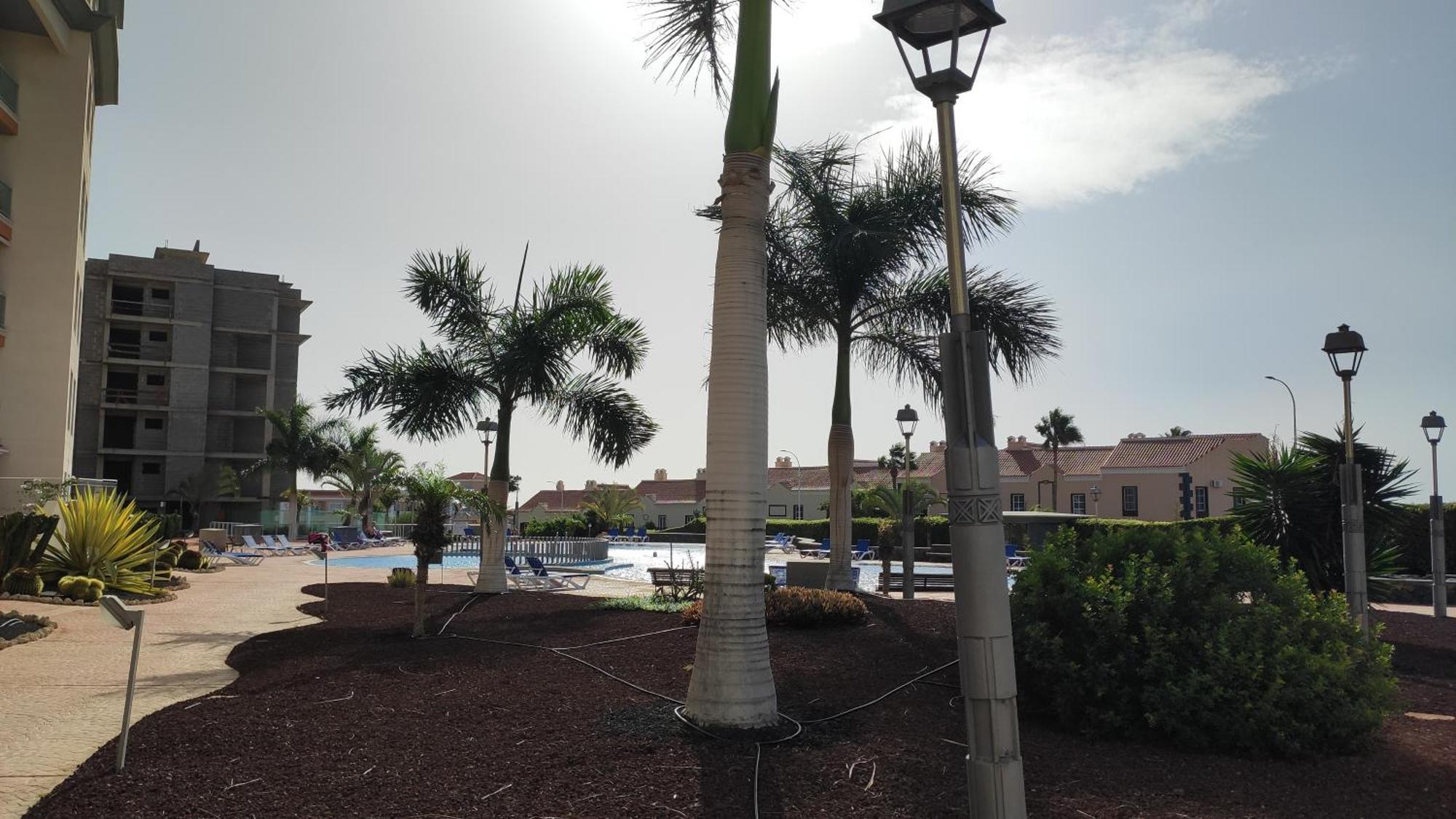 Sungolf Apartman San Miguel de Abona Dış mekan fotoğraf
